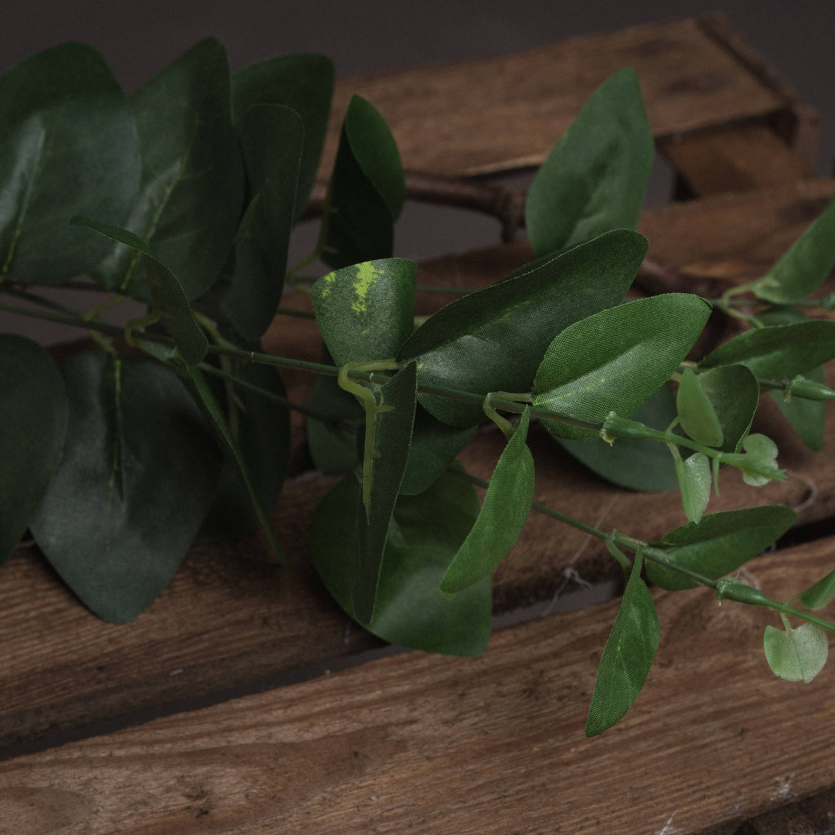 Hill Interiors Cineraria Eucalyptus Spray with paired green leaves along arching stems, resting on a rustic wooden surface.