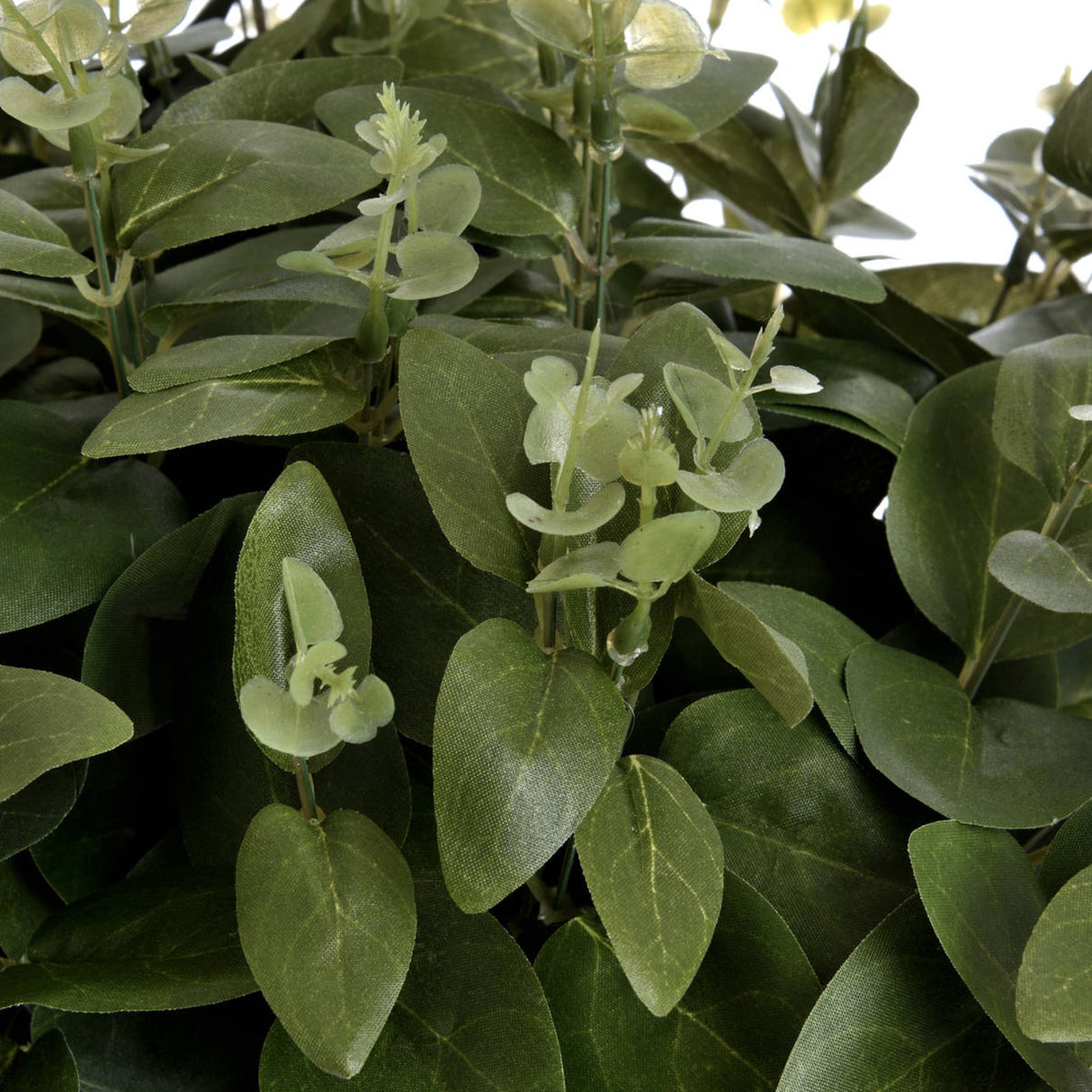 Close-up of Hill Interiors Cineraria Eucalyptus Spray showing paired matte green leaves and small budding clusters along slender stems.