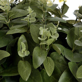 Close-up of Hill Interiors Cineraria Eucalyptus Spray showing paired matte green leaves and small budding clusters along slender stems.