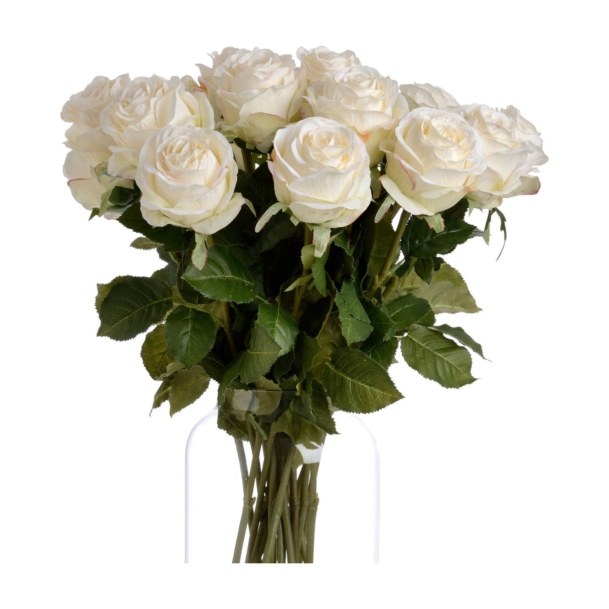 Traditional White Rose