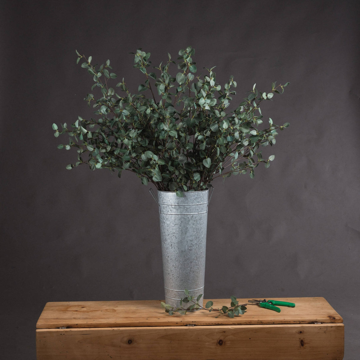 Hill Interiors Tall Eucalyptus Stems arranged in a galvanised metal florist bucket on a wooden chest, with green-handled snips beside it.