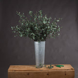 Hill Interiors Tall Eucalyptus Stems arranged in a galvanised metal florist bucket on a wooden chest, with green-handled snips beside it.