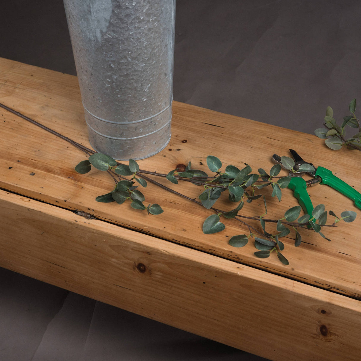 Hill Interiors Tall Eucalyptus Stem in silvery-green laid on a wooden bench beside a galvanised metal vase and green-handled secateurs.