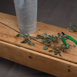 Hill Interiors Tall Eucalyptus Stem in silvery-green laid on a wooden bench beside a galvanised metal vase and green-handled secateurs.