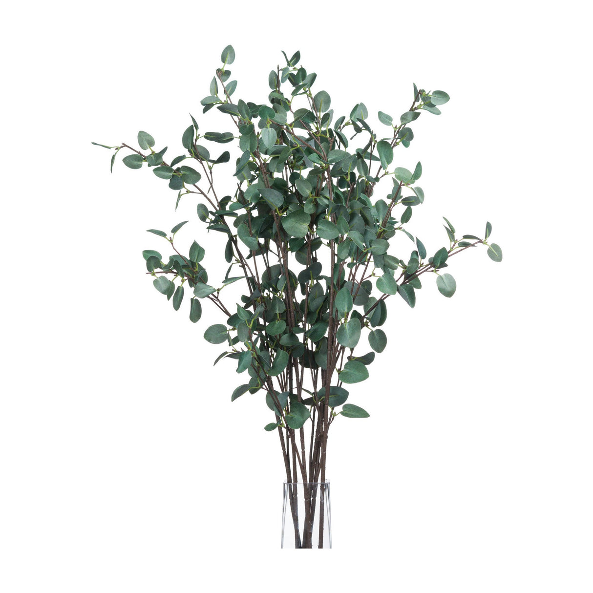 Hill Interiors Tall Eucalyptus Stem arrangement with silvery green rounded leaves on slender branching stems in a clear glass vase against a white background.