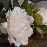 Hill Interiors White Fashion Peony faux stem with ruffled white bloom, closed bud and green foliage, resting on a wooden surface beside an open book.