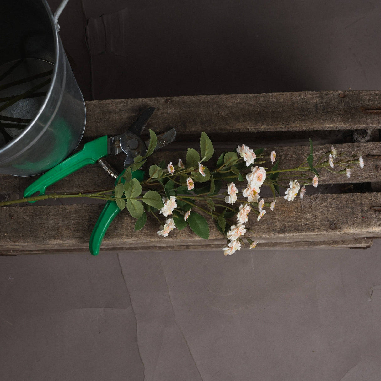 Hill Interiors Cream Wild Meadow Rose faux stem with ruffled blooms and green leaves on a wooden crate beside green secateurs and a metal bucket.
