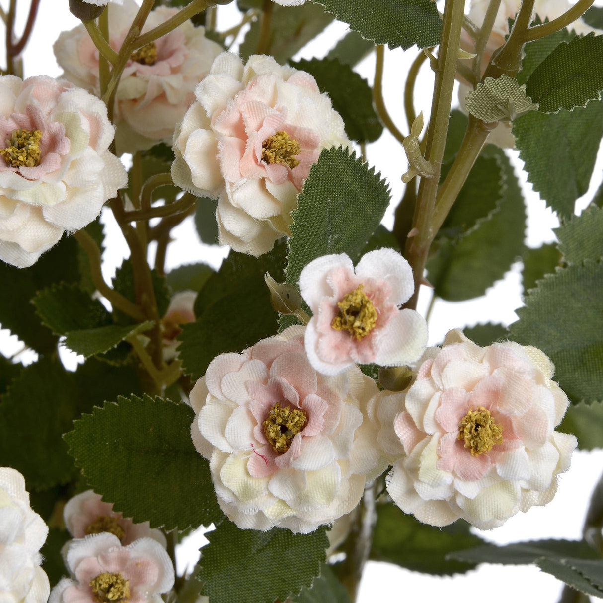 Close-up of Hill Interiors Cream Wild Meadow Rose faux stem showing ruffled cream and pink petals with yellow centres among textured green leaves.