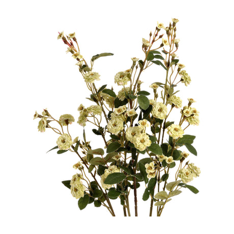 Hill Interiors Green Wild Meadow Rose, a 74cm faux rose stem with clusters of ruffled pale green blooms and veined leaves, on a white background.
