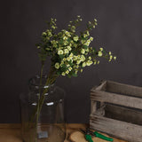 Hill Interiors Green Wild Meadow Rose faux stems with clustered pale green blooms and leaves in a tall glass jar vase beside a wooden crate.