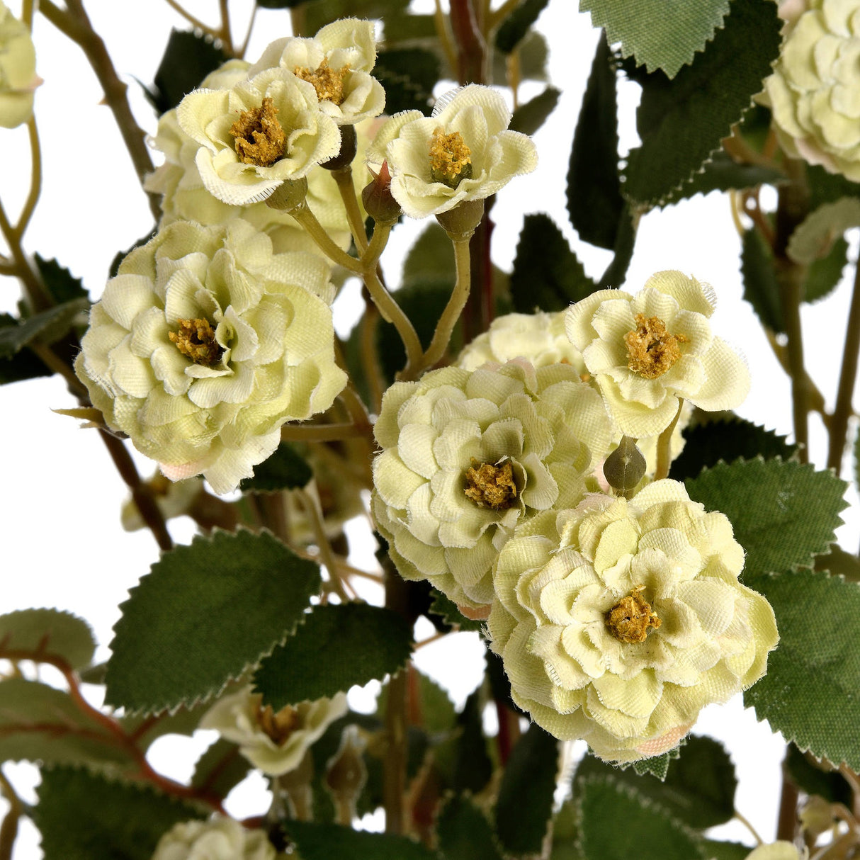 Close-up of Hill Interiors Green Wild Meadow Rose faux stem showing clustered pale green ruffled petals with yellow centres and serrated dark green leaves.