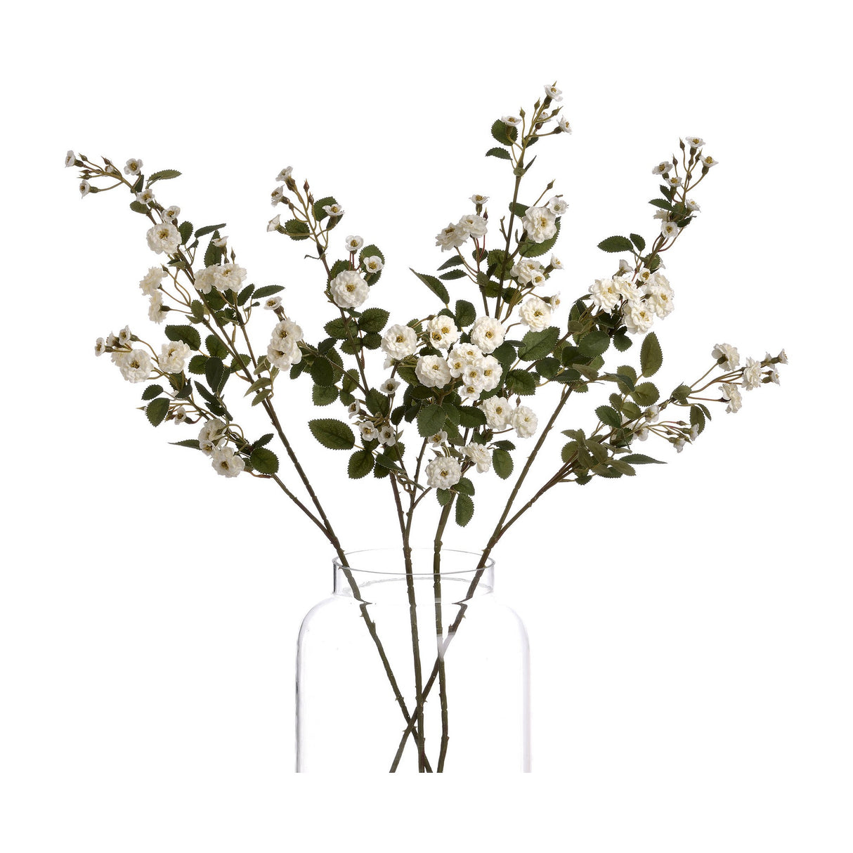 White Wild Meadow Rose