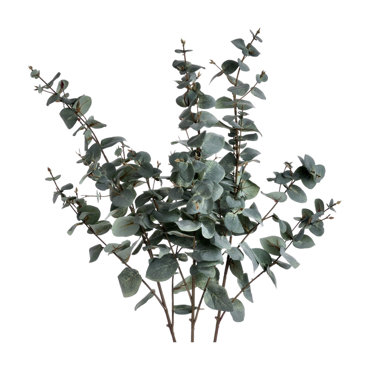 Hill Interiors Variegated Eucalyptus faux plant with green rounded leaves along slender curving stems, shown against a plain white background.