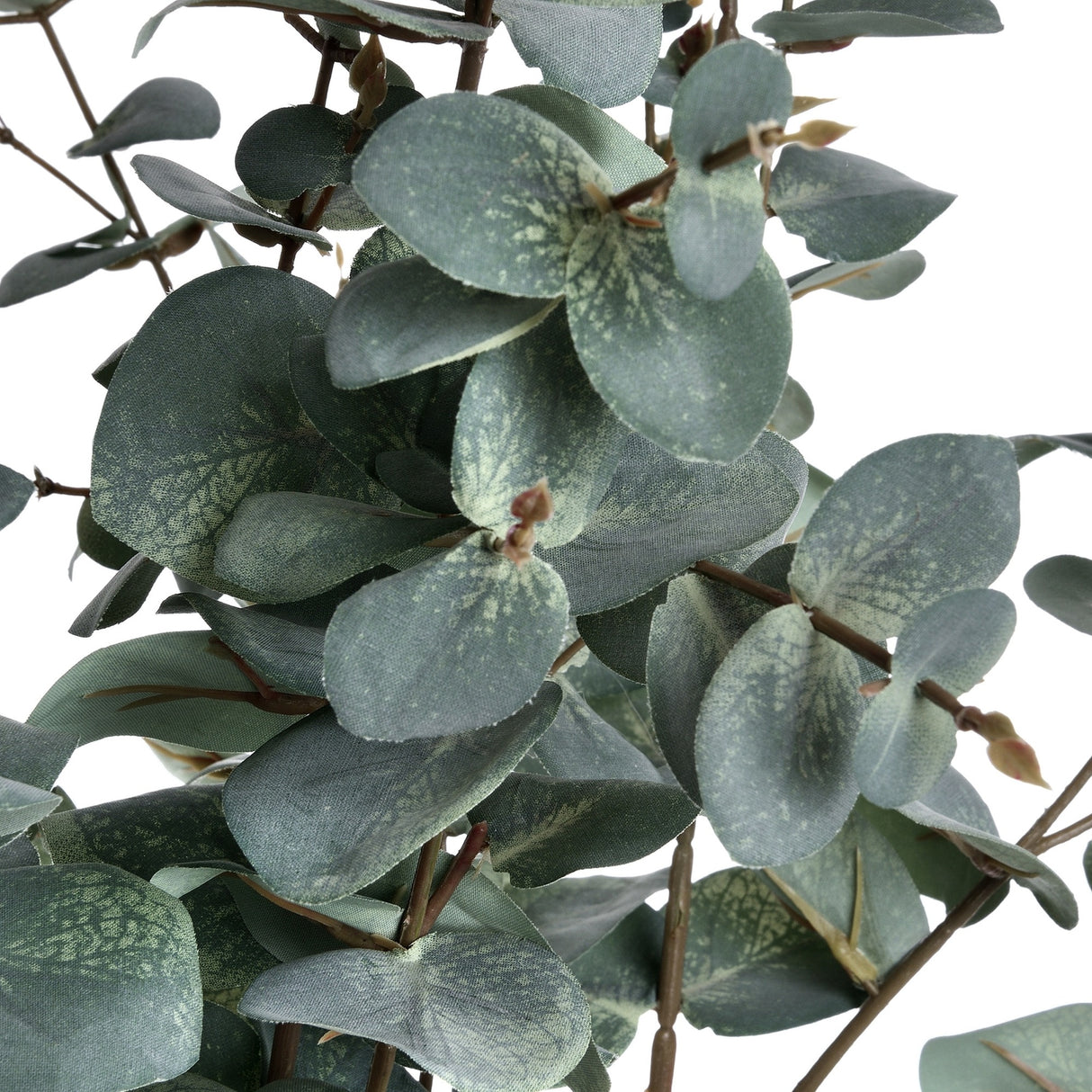 Close-up of Hill Interiors Variegated Eucalyptus faux stem showing rounded green leaves with pale dusky variegation on slender brown branches.