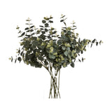 Hill Interiors Eucalyptus Spray faux plants with rounded sage green leaves on slender stems, arranged in a clear glass vase against a white background.