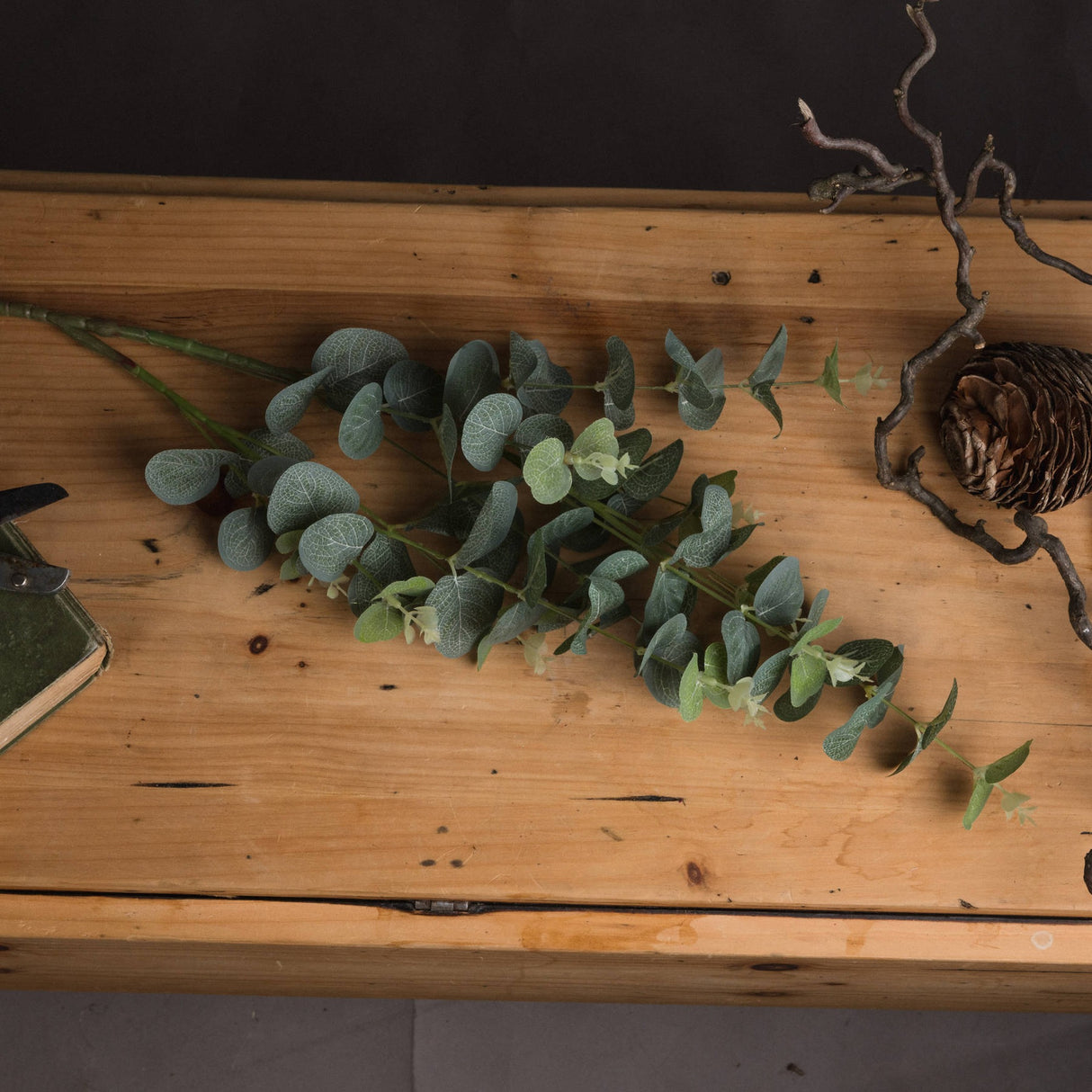Hill Interiors Eucalyptus Spray with rounded sage green leaves along a slender stem, laid on a rustic wooden table beside a pinecone and twisted branch.