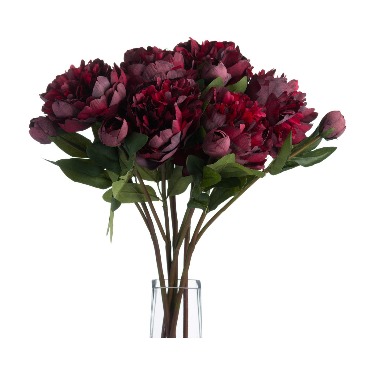 Burgundy Peony Rose