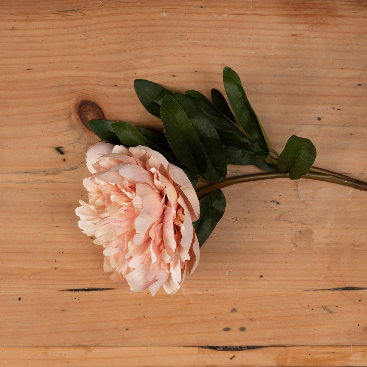 Hill Interiors Peach Peony Rose faux stem with a full ruffled bloom in soft peach tones and green veined leaves, laid on a wooden surface.