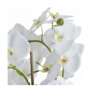 Artificial Orchids