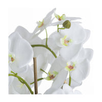 Artificial Orchids