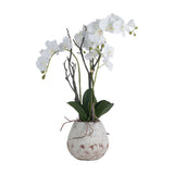 Hill Interiors White Orchid In Stone Pot faux plant with cascading white Phalaenopsis blooms, green leaves and twigs in a distressed stone-effect planter.