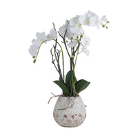 Artificial Orchids