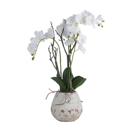 Hill Interiors White Orchid In Stone Pot faux plant with cascading white Phalaenopsis blooms, green leaves and twigs in a distressed stone-effect planter.