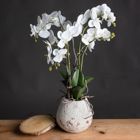 Hill Interiors White Orchid In Stone Pot faux Phalaenopsis with cascading white blooms and glossy leaves in a chalky stone-effect planter on wood.