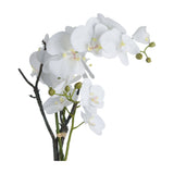 Hill Interiors White Orchid faux Phalaenopsis stem with cascading white blooms, yellow throats and green buds on bark stems against a white background.