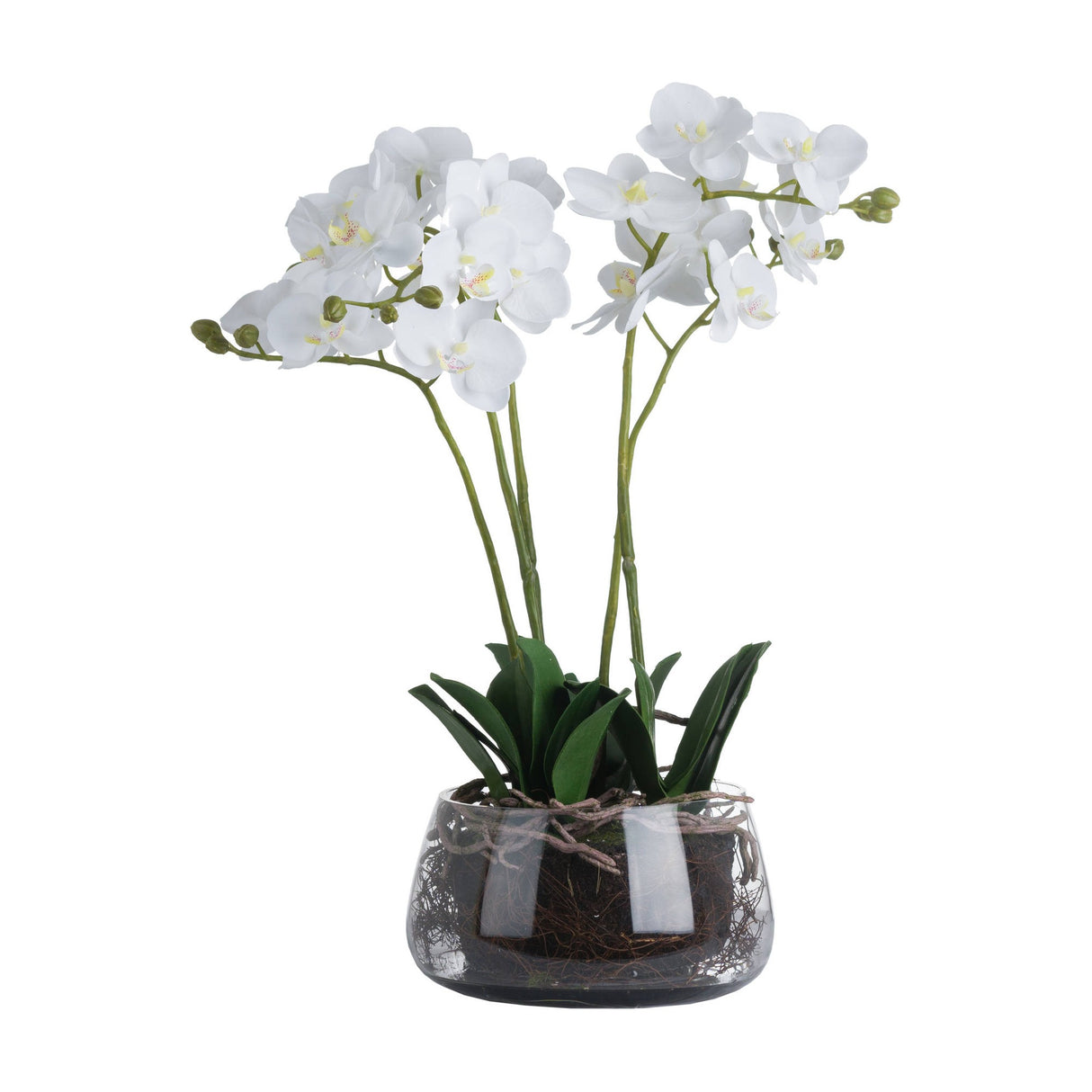 Hill Interiors White Orchid faux plant with tall stems of white phalaenopsis blooms and green leaves in a clear glass pot, on a white background.