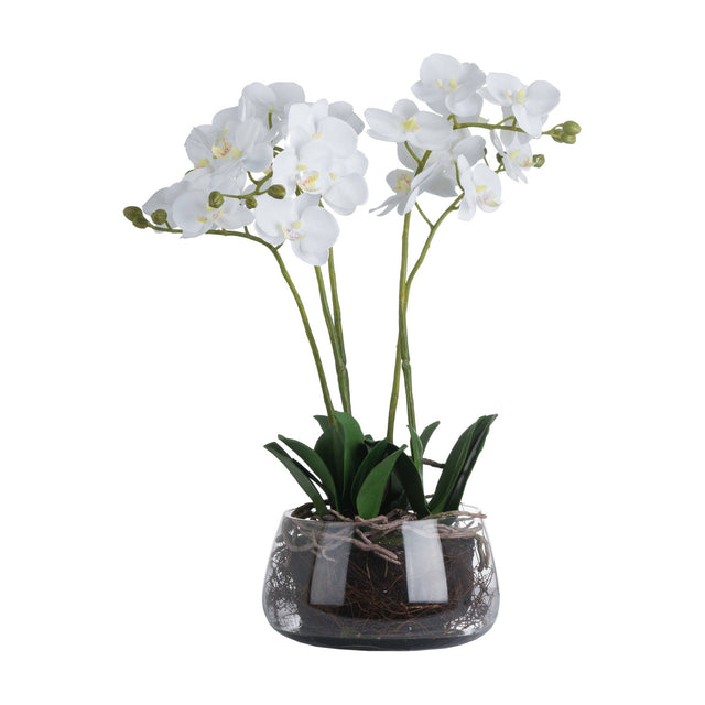 Hill Interiors White Orchid faux plant with tall stems of white phalaenopsis blooms and green leaves in a clear glass pot, on a white background.
