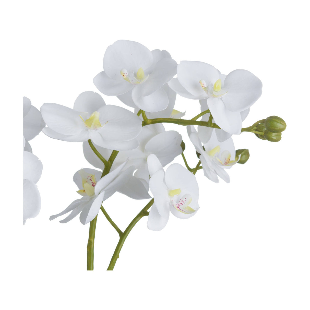 Close-up of Hill Interiors White Orchid faux phalaenopsis stems showing curved white petals, yellow centres and green buds against a plain white background.