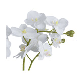 Close-up of Hill Interiors White Orchid faux phalaenopsis stems showing curved white petals, yellow centres and green buds against a plain white background.