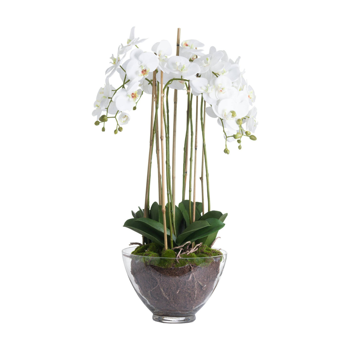 Hill Interiors Large White Orchid faux plant with cascading Phalaenopsis blooms and green leaves in a clear glass pot with soil and moss.