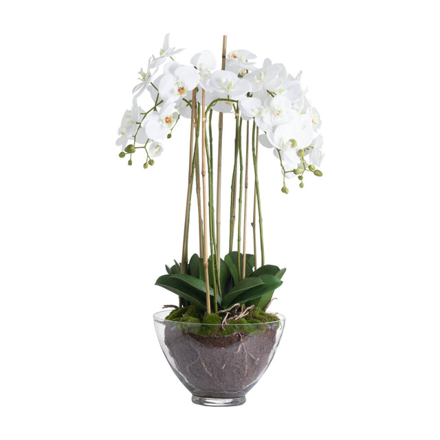 Hill Interiors Large White Orchid faux plant with cascading Phalaenopsis blooms and green leaves in a clear glass pot with soil and moss.