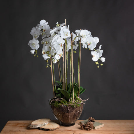 Large white faux Phalaenopsis orchid by Hill Interiors with arching stems and green leaves in a clear glass pot, styled on a wooden table.