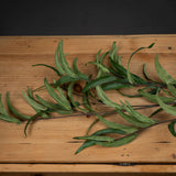Hill Interiors Eucalyptus Nicholii Spray with slender green leaves along arching wired stems, laid across a rustic wooden surface against a dark backdrop.