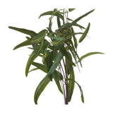 Hill Interiors Eucalyptus Nicholii Spray close-up showing slender green leaves along arching wired stems against a plain white background.