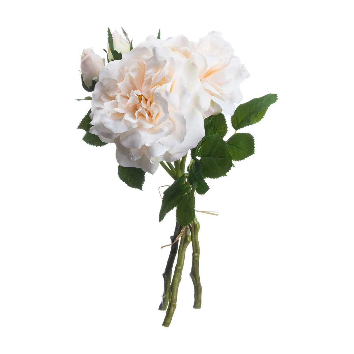 Peachy Cream Short Stem Rose Bouquet