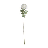 Classic White Peony