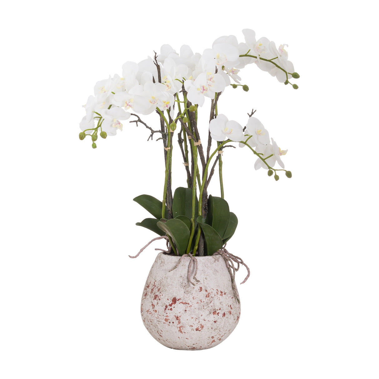 Hill Interiors Large Stone Potted Orchid With Roots faux plant, white blooms arching on tall stems above glossy leaves in a distressed stone-effect pot.