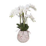 Hill Interiors Large Stone Potted Orchid With Roots faux plant, white blooms arching on tall stems above glossy leaves in a distressed stone-effect pot.