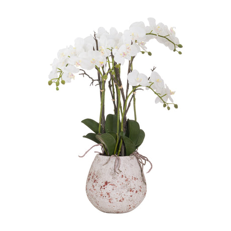 Hill Interiors Large Stone Potted Orchid With Roots faux plant, white blooms arching on tall stems above glossy leaves in a distressed stone-effect pot.