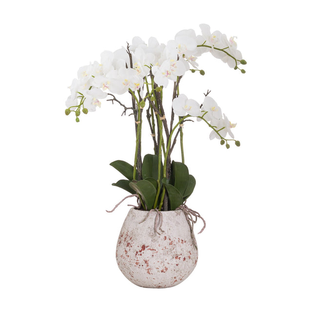 Hill Interiors Large Stone Potted Orchid With Roots faux plant, white blooms arching on tall stems above glossy leaves in a distressed stone-effect pot.