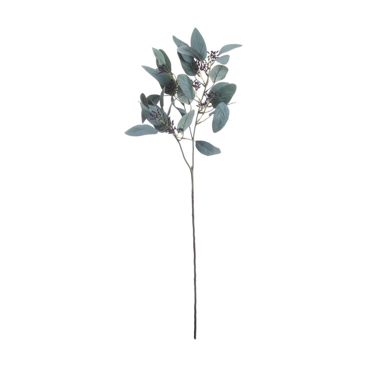 Hill Interiors Seeded Eucalyptus Stem with silvery-green rounded leaves and dark seed clusters on a wired stem, shown against a plain white background.