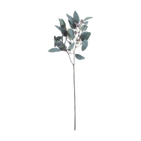Hill Interiors Seeded Eucalyptus Stem with silvery-green rounded leaves and dark seed clusters on a wired stem, shown against a plain white background.