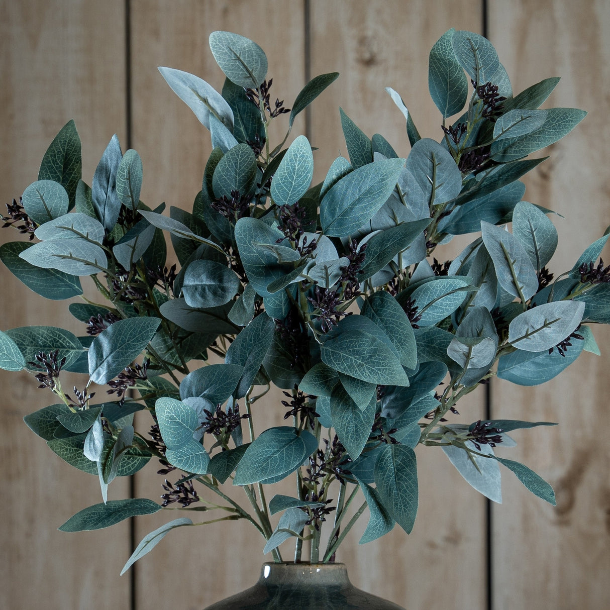 Hill Interiors Seeded Eucalyptus Stem with silvery-green rounded leaves and dark seed clusters, arranged in a vase against a wooden plank backdrop.