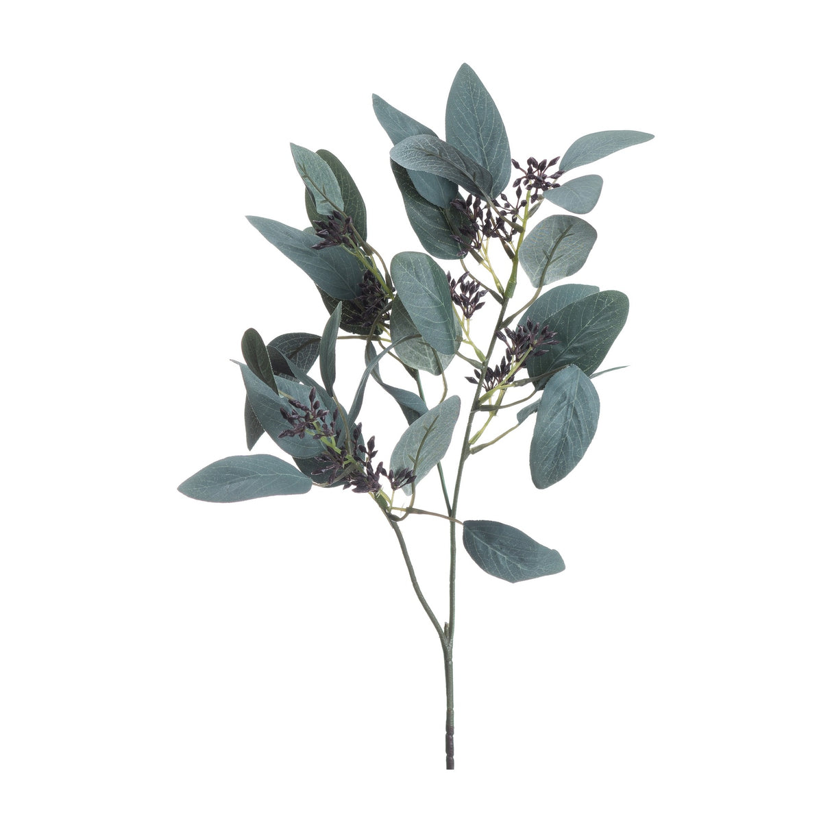 Hill Interiors Seeded Eucalyptus Stem faux plant with silvery-green rounded leaves and dark seed pod clusters on a wired stem, shown on a white background.