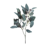 Hill Interiors Seeded Eucalyptus Stem faux plant with silvery-green rounded leaves and dark seed pod clusters on a wired stem, shown on a white background.