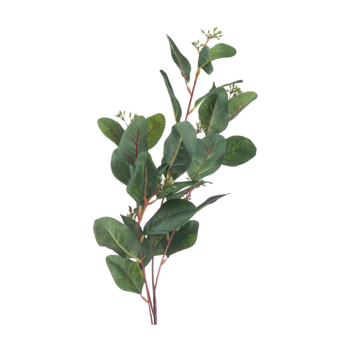 Hill Interiors Summer Seeded Eucalyptus faux stem with rounded green leaves and small seed clusters along reddish-brown branches on a white background.
